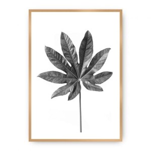Plakat Leaf Grey