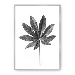 Plakat Leaf Grey
