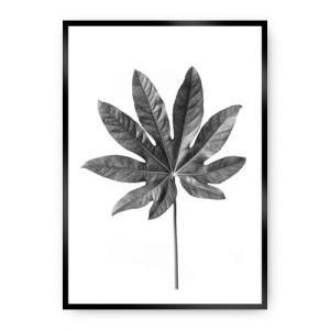 Plakat Leaf Grey