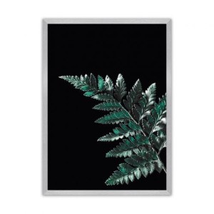 Plakat Dark Fern Leaf