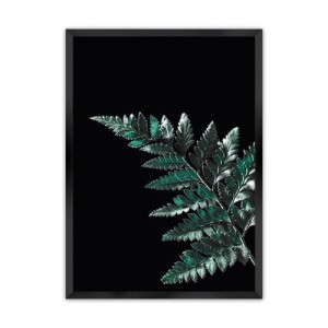 Plakat Dark Fern Leaf