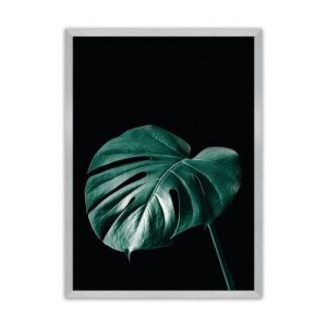 Plakat Dark Monstera