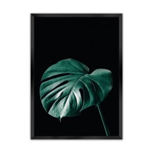Plakat Dark Monstera