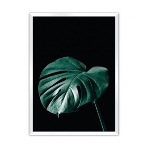 Plakat Dark Monstera
