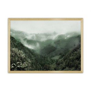 Plakat Forest