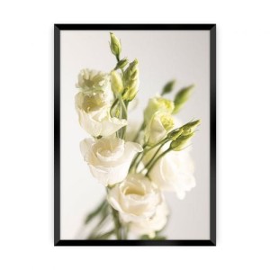 Plakat Elegant Flowers