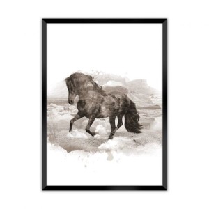 Plakat Horse