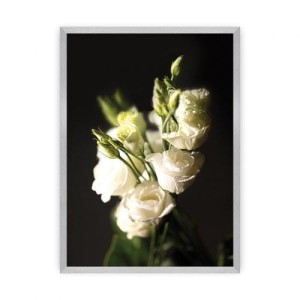 Plakat Dark Flowers II