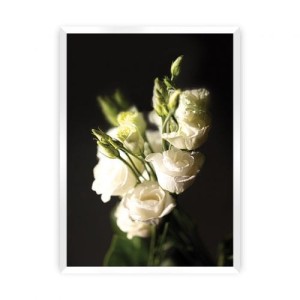 Plakat Dark Flowers II