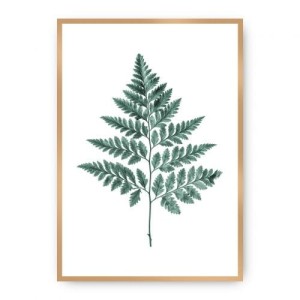 Plakat Fern Emerald Green