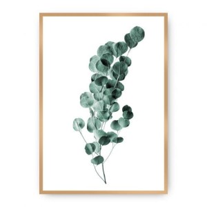 Plakat Eucalyptus Emerald Green