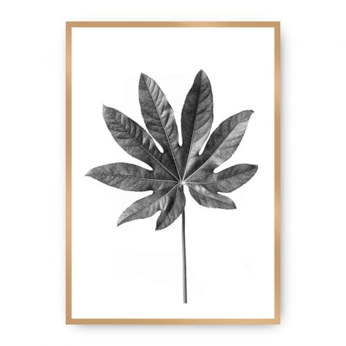 32ae7e3b5563b0013cbd3df27c260b05