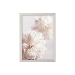 Obraz Peony II 21x30cm silver