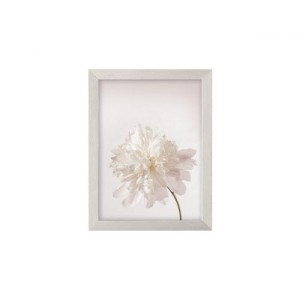 Obraz Peony III 18x24cm silver