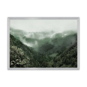 Plakat Forest