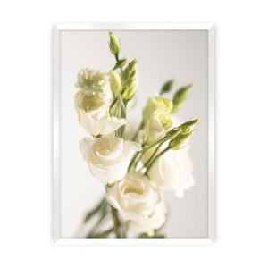 Plakat Elegant Flowers