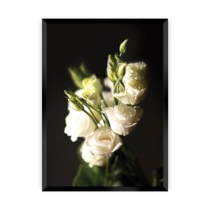 Plakat Dark Flowers II