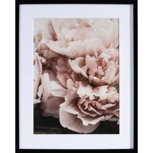 Obraz Peony Sunset I 40x50cm