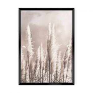 Obraz Grass