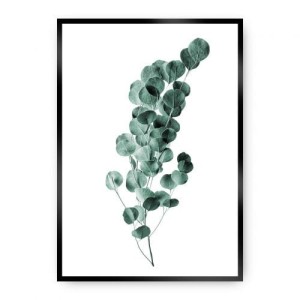 Plakat Eucalyptus Emerald Green