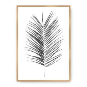 Plakat Palm Leaf Grey