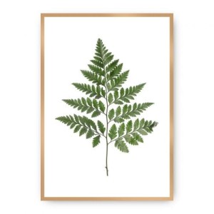 Plakat Fern Green