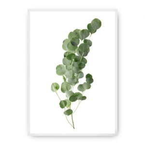 Plakat Eucalyptus Green