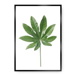 Plakat Leaf Green