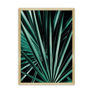 Plakat Dark Palm Tree
