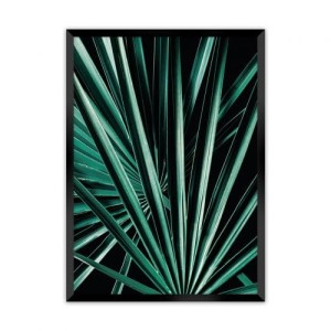 Plakat Dark Palm Tree