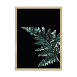 Plakat Dark Fern Leaf