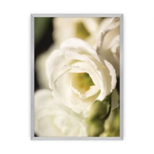 Plakat Flower Wall