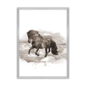 Plakat Horse