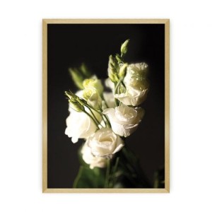Plakat Dark Flowers II