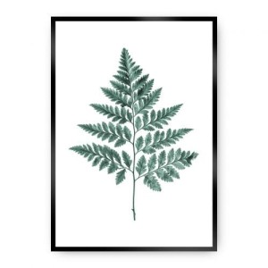 Plakat Fern Emerald Green