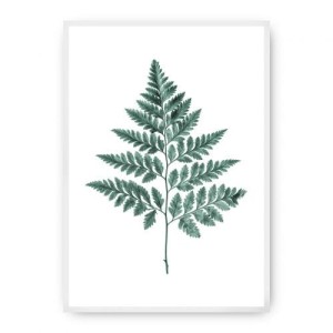Plakat Fern Emerald Green