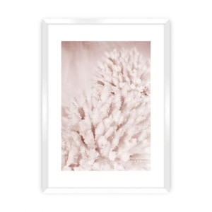 Plakat Pastel Pink II
