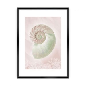 Plakat Pastel Pink III