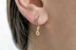 Thaipusam Earrings