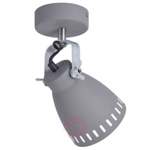 Regulowany spot ścienny Eva, szary