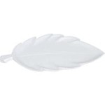 Patera Leaf