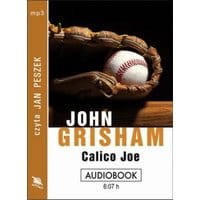 Calico Joe