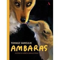 Ambaras