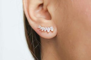 Stepping Stone Climber Earrings