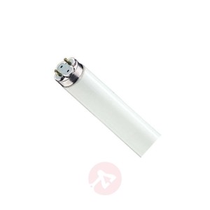 G13 T8 PHILIPS MASTER TL-D Xtra 58W - 830
