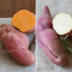 Sweet Potato Growing Kit - 2 x 30L pots & 6 plants