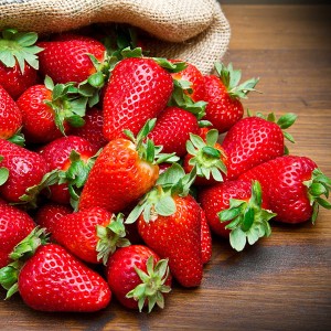 Everbearer 'Sweet Summer' Strawberry 20 x Runners