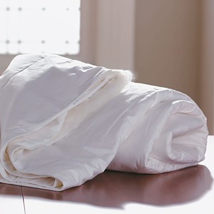 Mulberry Silk Anti-Allergy Duvet (King)