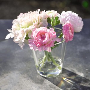 Pink Ranunculus Arrangement with BONUS Silk Flower Cleaning Spray 1603633
