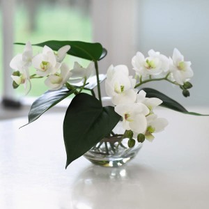 Orchid Bowl with BONUS Silk Flower Cleaning Spray 1603633